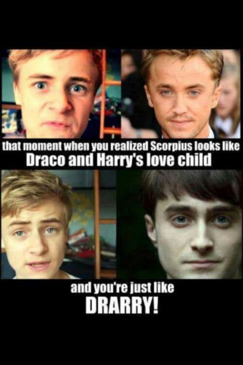 Oops Glume Harry Potter, Harry Draco, Harry Potter Memes Hilarious, Harry Potter Draco Malfoy, Gay Harry Potter, Draco Harry Potter, Harry Potter Puns, Images Harry Potter, Harry Potter Ships