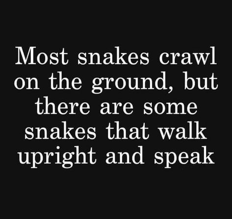 Quotes About Snakes, Level Quotes, Snake Quotes, Life Is A Game, Nye Outfits, Life Lesson, Lesson Quotes, Life Lesson Quotes, Fact Quotes