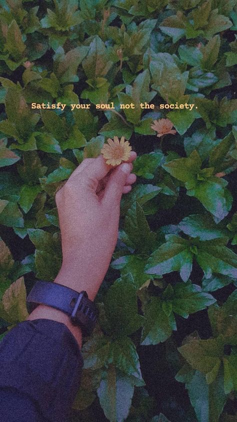 Satisfy Your Soul Quotes, Inspiring Sayings, Soul Quotes, The Society, Poem Quotes, Your Soul, Positive Quotes, Sunflower, Inspirational Quotes