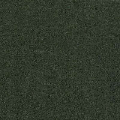 MOSS GREEN Moss Green Background, Green Leather Background, Green Velvet Texture, Green Leather Texture, Green Leather Fabric, Dark Olive Green, Leather Texture, Moss Green, Green Leather