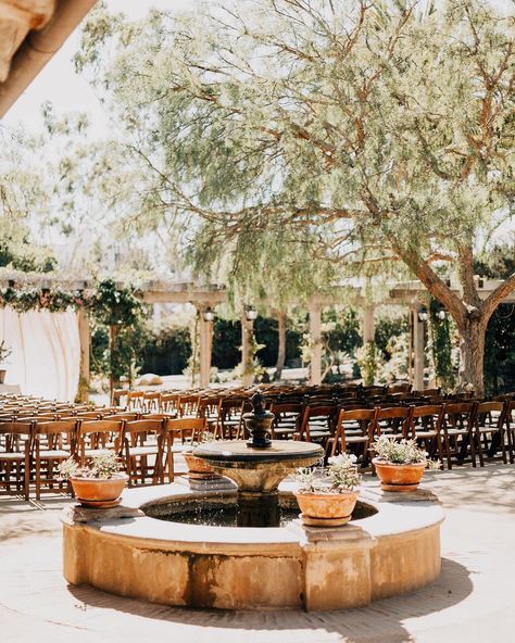 Mauve Decor, Santa Barbara Wineries, Wine Country Wedding Venues, Santa Barbara Courthouse Wedding, Santa Ynez Wedding, Santa Barbara Wedding Venue, Vineyard Wedding Venue, Courtyard Wedding, Zoo Wedding