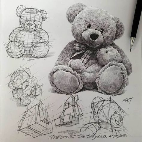 pencil sketches drawing studies Teddy Bear Sketch, Teddy Bear Drawing, Bear Sketch, Structural Drawing, Perspective Drawing Lessons, Drawing Styles, Bear Drawing, Object Drawing, Things To Draw