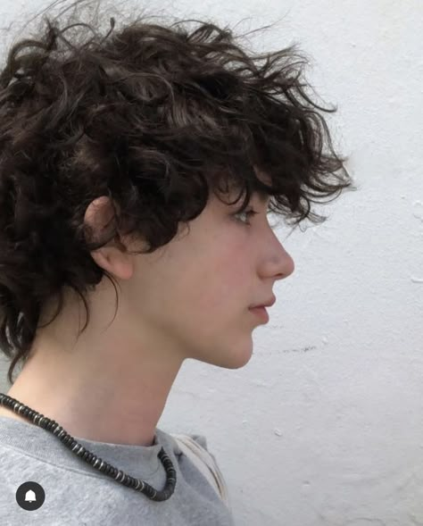 Haircuts For Trans Guys Curly Hair, Short Messy Curly Haircuts, Short Curly Haircuts Masculine, Masculine Curly Haircut, Curly Hairstyles Men Medium, Thick Wavy Hair Men, Curly Hair Men Mullet, Brown Fluffy Hair, Daniel Millar