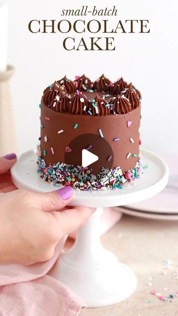 Mini Birthday Cake For Him Easy, Smash Cake Chocolate, 6 Inch Chocolate Cake Recipe, Chocolate Smash Cake, Mini Layer Cake, Small Birthday Party, One Bowl Chocolate Cake Recipe, Mini Victoria Sponge Cakes, Frosting Decorating