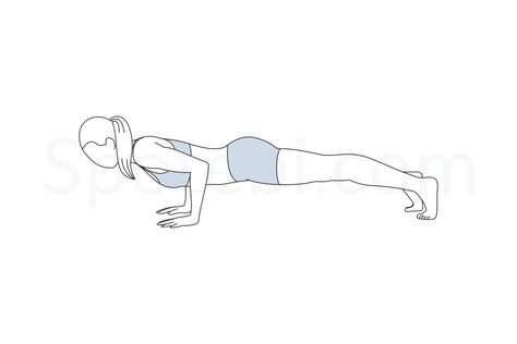 The low plank is a great yoga pose to tone your abs, trim the waist and to strengthen your arms, shoulders and wrists. http://www.spotebi.com/exercise-guide/chaturanga-dandasana/ Salabhasana Pose, Paschimottanasana Pose, Kakasana Vs Bakasana, Prasarita Padottanasana, Chaturanga Dandasana, 7 Minute Workout, Basic Yoga Poses, Yoga For All, Plank Pose