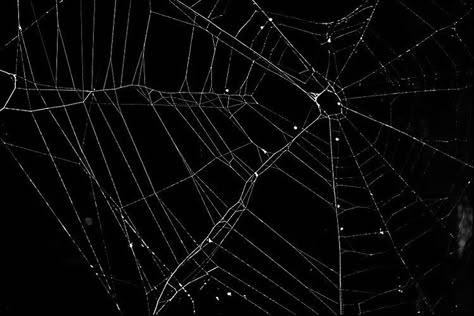 Grunge Wallpaper Laptop Hd, Goth Macbook Wallpaper, Spiderweb Overlay, Goth Wallpaper Desktop, Spider Web Overlay, Gothic Desktop Wallpaper, Goth Desktop Wallpaper, Spider Web Tattoo, Strange Magic