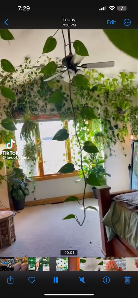 Vine House Plants, Urban Jungle Bedroom, Jungle Bedroom, Plant Wall Decor, Gardening Trends, Potted Houseplants, Plant Hangers, Room With Plants, Hanging Flowers