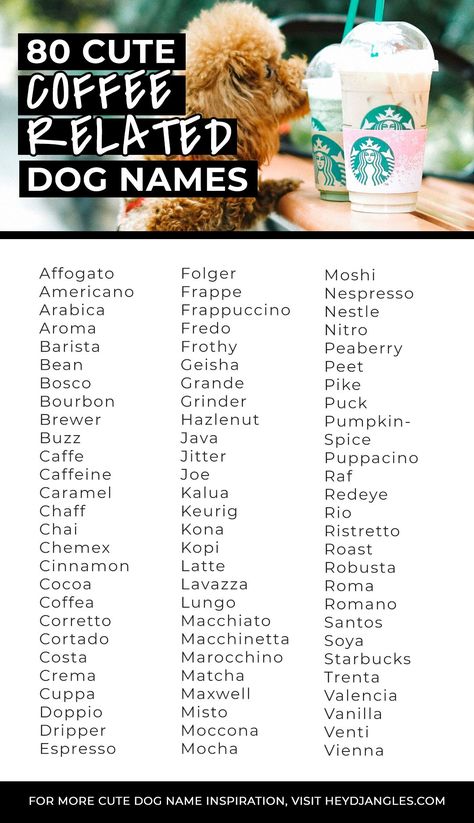 FOR FUN: 80 Best Coffee Related Dog Names and Accessories - Cute coffee dog names include Mocha, Latte, Chai and more! Coffee-themed dog accessories and name ideas #dognames #coffeelover Food Pet Names, Coffee Names Ideas, Cute Cafe Names, Food Dog Names, Creative Dog Names, Cute Dog Names, Dog Name Ideas, Cute Animal Names, Coffee Names