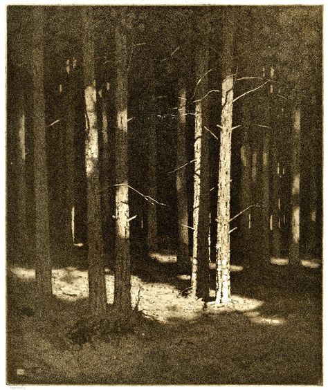 Etching Prints, Landscape Drawings, Tree Drawing, Wood Engraving, Charcoal Drawing, Monoprint, Silver Moon, Drawing Tutorials, Tree Art