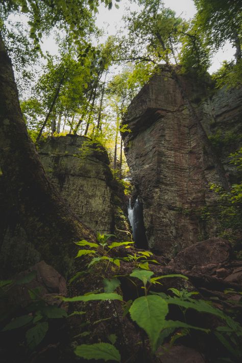 Woods Reference, Cliff Forest, Forest Cliff, Aesthetics 2023, Raven Aesthetic, Waterfalls In Georgia, Hiking In Georgia, University Series, Visit Georgia