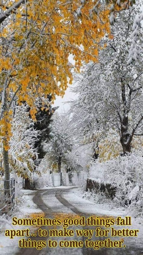 Beautiful Winter Pictures, Autumn Scenery, Winter Scenery, Winter Magic, Winter Beauty, World Photo, Snow Scenes, Autumn Beauty, Winter Pictures