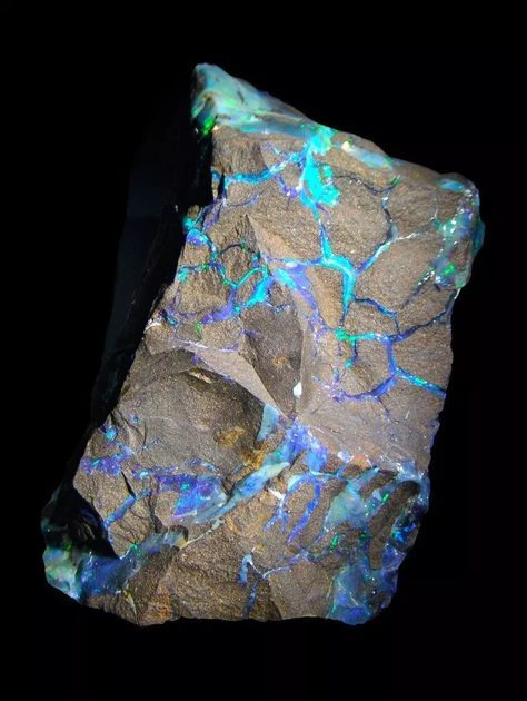 50 Most Beautiful Gemstones You've Ever Seen - Unearthed Gemstones Opal Australia, Pretty Rocks, Crystal Opal, Beautiful Rocks, Rare Gems, Mineral Stone, Minerals And Gemstones, Rocks And Gems, Gem Stones