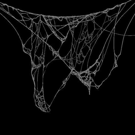 Arachne Aesthetic, Spider Web Aesthetic, Spider Web Illustration, Spider Web Png, Spider Web Art, Holding Skull, Spider Tattoos, Two Crows, Person Sleeping