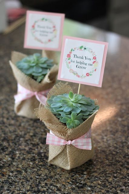 DIY Succulent Gift Diy Plant Party Favors, Mother’s Day Succulent Craft, Succulent Presents Gift Ideas, Succulent Gift Ideas Christmas, Plant Mothers Day Gifts, Plant Thank You Gifts, Succulents Graduation Party, Gifting Plants Ideas, Mother’s Day Giveaways