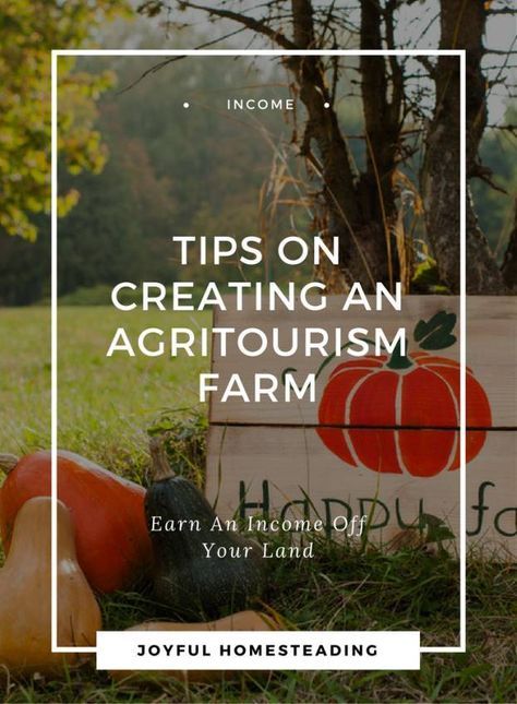 Permaculture, Agritourism Farms, Farm Tourism, Starting A Farm, Farm Plans, Homestead Farm, Farm Business, Future Farms, Farm Store