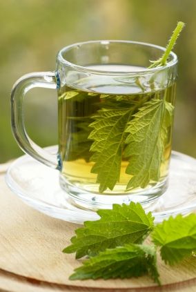 Discover simple ways to lower creatinine levels naturally while improving your kidney function. And understand why lowering creatinine should not be your only goal when treating kidney disease.. Nettle Tea Benefits, Nettle Leaf Tea, Foods For Clear Skin, Nettle Leaf, Creatinine Levels, Tomato Nutrition, Calendula Benefits, Fruit Health Benefits, Matcha Benefits