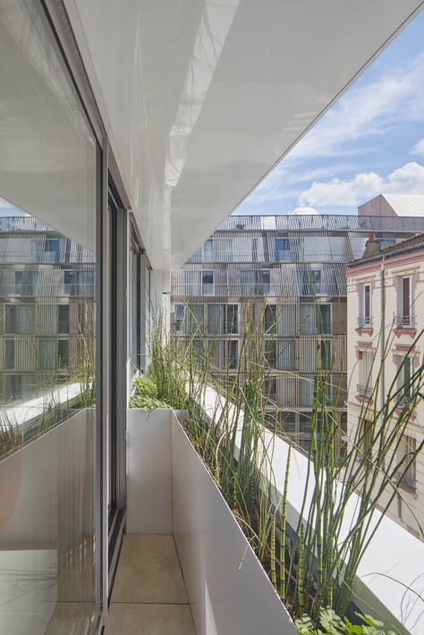 Gallery of Living on the Roof / rotunnojustman - 17 Narrow Balcony, Paris Balcony, Yard Remodel, Balcony Planters, Green Facade, Rooftop Terrace Design, European Home, Planter Design, European House