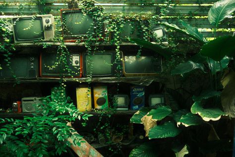 Taken by: Alex Mercer on Unsplash Overgrown Computer, Green Tv Aesthetic, Goblincore Desktop Wallpaper, Keilah Core, Green Computer Aesthetic, Green Aesthetic Scenery, Green Computer Background, Retro Green Aesthetic, Green Computer Wallpaper