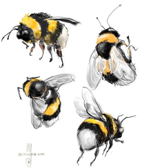 Bee Illustration Cute, Drawing Of Bee, Bumblebee Sketch, Bee Art Painting, Watercolour Bees, Everyday Sketches, Bumble Bee Drawing, Painting Bees, Bumble Bee Painting