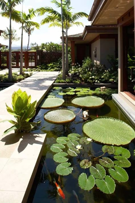 55 Visually striking pond design ideas for your backyard Moderne Have, Koi Pond Design, Kolam Koi, Taman Air, Pond Design, Have Inspiration, Water Features In The Garden, Fish Ponds, Ponds Backyard