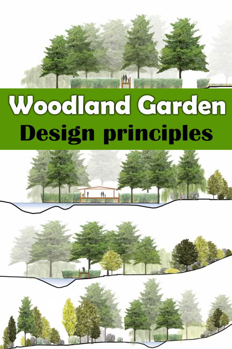 Large Back Garden Design, Organic Landscape Design Layout, Landscape Planning Layout, Woodland Front Yard Landscaping, Woodland Landscape Design, Forest Edge Garden, Meadow Garden Design, Wooded Lot Landscaping, Woodland Planting Scheme