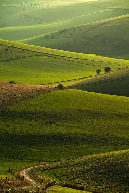 England Countryside, Dreamy Places, Essex England, South Downs, East Anglia, Image Nature, British Countryside, England And Scotland, Dirt Road