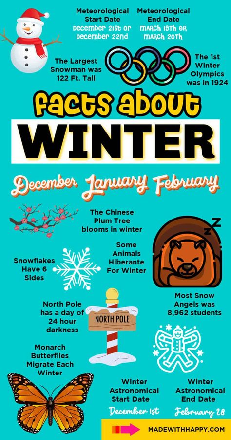 Facts About Winter Snow Facts, December Solstice, Holiday Facts, Winter Printables, Gorgeous Images, February Holidays, Fun Facts For Kids, Ss 2024, Elderly Activities