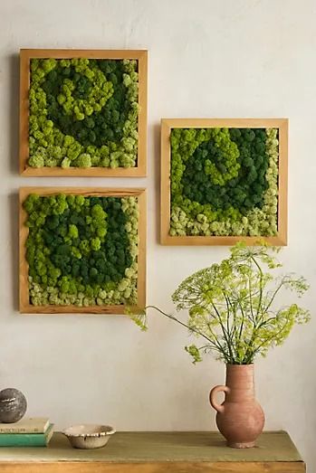 New Arrivals | Terrain Live Plant Wall Art, Plant Troughs, Moss Frame, Moss Centerpieces, Moss Decor, Reindeer Moss, Dogwood Blossoms, Organic Ceramics, Outdoor Living Furniture