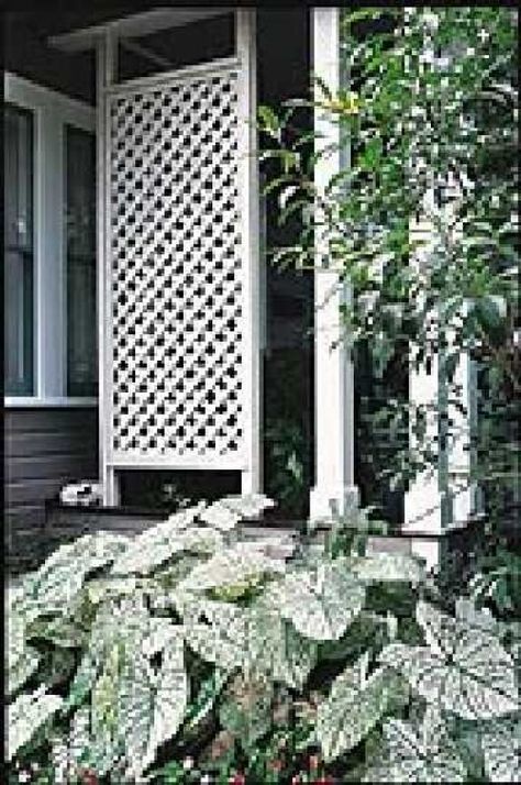 Here is a great guide for installing a Lattice Privacy Screen.  This 3rd method allows for attaching a lattice screen using moldings. Lattice Privacy Screen For Deck, Privacy Screen For Deck, Lattice Privacy Fence, Porch Lattice, Lattice Privacy Screen, Porch Privacy, Privacy Screen Deck, Lattice Screen, Small Pergola