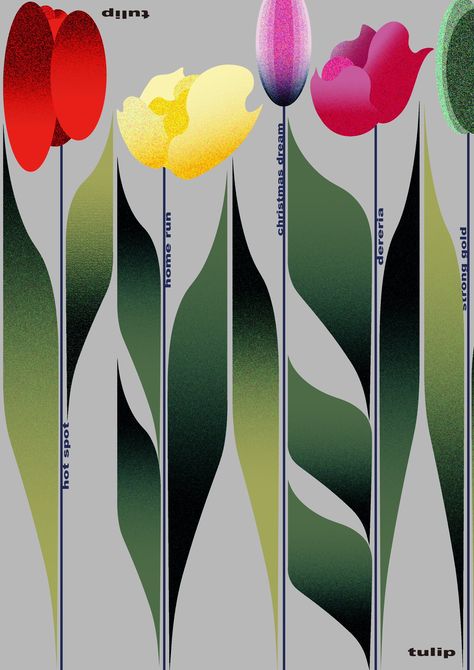 Flowers Poster Design, Plant Graphic Design, Leaf Graphic Design, Tulip Illustration, Frames Design Graphic, Flower Graphic Design, 타이포그래피 포스터 디자인, Floral Poster, Book Design Layout