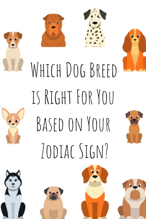 Which dog is right for you according to your zodiac sign! Here is a list of which dog breeds you are most compatible with according to your zodiac sign. The personality traits of dog breeds are different, so you should look into the traits of each dog breed before adopting a dog. Find out what type of dog breed you should get! #Dogbreed #Dogs #Zodiacsigns Dog Personality Types, Types Of Dogs Breeds List, Dog Zodiac Signs, Zodiac Signs As Dogs, Dog Astrology, Which Dog Are You, Disney Zodiac, Dog Zodiac, What Animal Are You