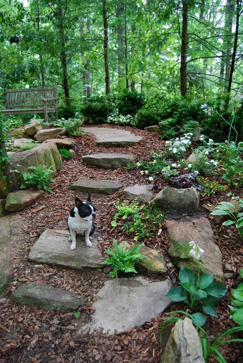 Wooded Backyard, Mulch Landscaping, Garden Area, Stone Path, Forest Garden, Have Inspiration, Woodland Garden, Landscaping Tips, Beautiful Backyards