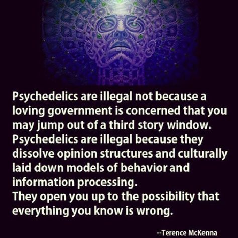 (1) Some Truth - Gallery | eBaum's World Terence Mckenna, Information Processing, Medicinal Plants, What’s Going On, Spiritual Awakening, Wise Words, Words Of Wisdom, Government, Medicine