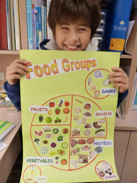 5 Food Groups For Kids, Food Groups Preschool, Food Groups Chart, Food Groups For Kids, Healthy Food Activities For Preschool, Healthy Food Activities, Five Food Groups, Food Collage, Nutrition Activities