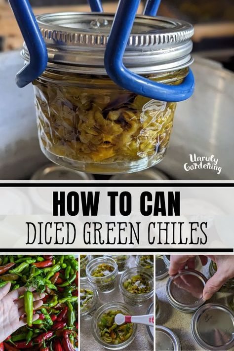 Canning Diced Green Chiles (& Other Peppers) - Unruly Gardening Canning Green Chiles, What To Do With Green Chili Peppers, How To Can Green Chili Peppers, Canning Green Chilies, How To Can Green Chilies, Hatch Chili Canning Recipes, Pressure Canning Peppers, Diced Green Chiles Canning, Green Chili Canning Recipe