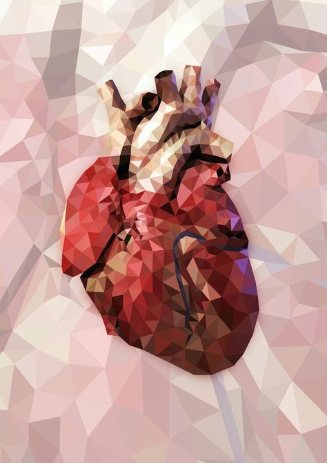 Heart Anatomy Wallpaper, Anatomy Wallpaper Iphone, Anatomy Wallpaper, Reflection Drawing, Anatomical Heart Art, Male Figure Drawing, Medical Wallpaper, Heart Anatomy, Human Figure Drawing