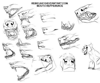 Mouth Drawing Reference, Animal Mouth, Canine Drawing, Teeth Art, Cat Anatomy, Mouth Drawing, Animal Anatomy, Animal Study, Canine Art