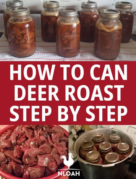 Can Deer Meat Recipes, Canning Meat Recipes, Canned Deer Meat Recipes, Canning Deer Meat Recipes, How To Can Venison, Canned Venison Recipes, Canning Deer Meat, Canning Venison Recipes, How To Can Deer Meat