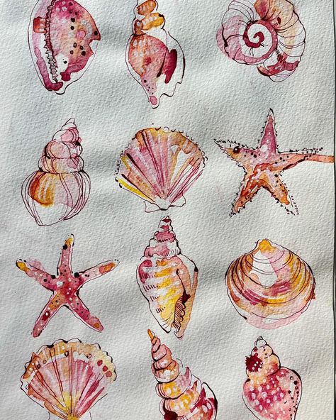 Ohn Mar Win | #throwbackthursday another favourite piece of mine are these sea shells from early 2021. It’s a favourite way of working - loose… | Instagram Ohn Mar Win, Loose Watercolour, Beachy Art, Moleskine Sketchbook, Sea Life Art, Seashell Painting, Dorm Art, Watercolor Paintings For Beginners, Watercolour Inspiration