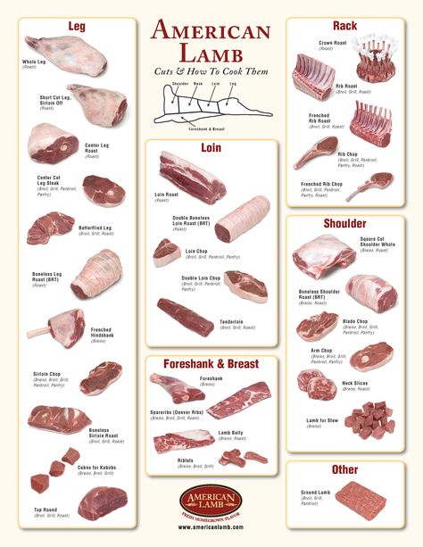 Farm Record Keeping, Meat Cuts Chart, Meat Chart, Beef Cuts Chart, Lamb Cuts, Meat Butcher, Animal Foods, Meat Preparation, Pig Breeds