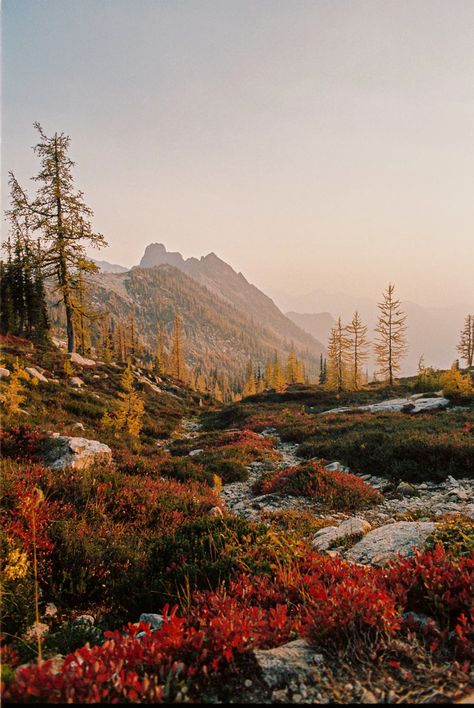 Cascade National Park, North Cascades National Park, Pretty Landscapes, North Cascades, Autumn Days, Autumn Vibes, Alam Yang Indah, Nature Aesthetic, Pretty Places