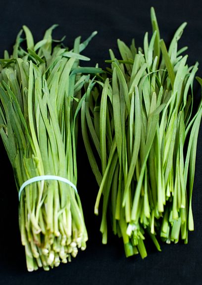 stir-fried chinese chives and pork recipe | use real butter Shredded Tofu, Chive Seeds, Chives Recipe, Chinese Chives, Anniversary Wishes, Pork Recipe, Vegetable Seeds, Fresh Chives, Asian Cooking