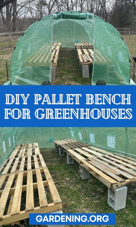 Diy Greenhouse Shelves, Greenhouse Tables, Pallet Greenhouse, Greenhouse Addition, Greenhouse Shelves, Greenhouse Benches, Homemade Greenhouse, Cheap Greenhouse, Diy Greenhouse Plans