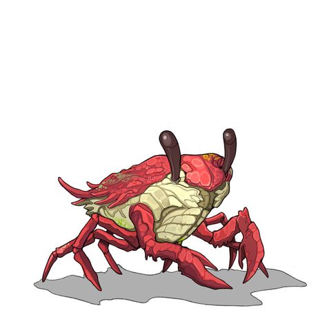 Crab Concept Art, Artificer Inventions, Coral Creature, Fantasy Crab, Crab Character Design, Crab Robot, Crab Monster, Crab Character, Ocean Monsters