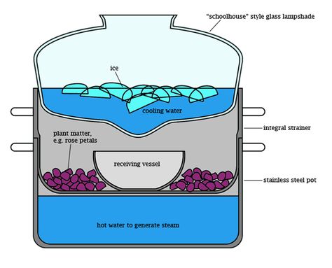 Oil Distiller, Essential Oils Properties, Essential Oil Distiller, Essential Oil Extraction, Homemade Essential Oil, Making Essential Oils, Distillation Process, Steam Distillation, How To Make Oil