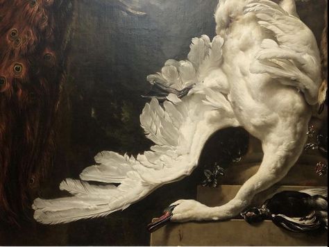 Fire And Blood, Arte Inspo, Wow Art, Swan Lake, Classical Art, Old Art, Pretty Art, Classic Art, Aesthetic Art