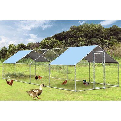 Large Chicken Coop, Metal Chicken Coop, Walk In Chicken Coop, Chicken Pen, Poultry Cage, Chicken Coop Run, Duck House, Metal Chicken, House Outdoor