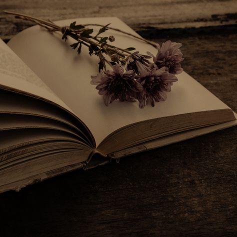 Flower On Book Aesthetic, Flowers Dark Academia Aesthetic, Dark Purple Vintage Aesthetic, Flowers On Books Aesthetic, Open Books Aesthetics, Dark Brown Flowers Aesthetic, Dark Academia Flowers Aesthetic, Opened Book Aesthetic, Alstromeria Aesthetic