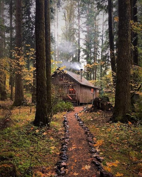 Cabin In The Woods Aesthetic, Apollo's Cabin, Small Cabin In The Woods, Build Your Own Cabin, A Cabin In The Woods, Cabin Aesthetic, Forest Cottage, Cabin In The Mountains, Forest Cabin