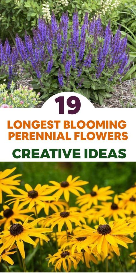 Create a garden that delights year-round with these perennial flowers. The Blanket Flower boasts vivid blooms from early summer to fall, while the Coneflower adds charm with its unique petals blooming for up to three months. Delphiniums stand tall in late spring and Peonies bring elegance and lasting fragrance. Coreopsis offers cheerful yellow flowers from summer to fall. Plant these beauties for year-long color! Flowering Perennials Sun, Fall Planting Perennials, Coreopsis Flower, Yellow Perennials, Perennial Garden Design, Lawn Repair, Blooming Perennials, Perennial Garden Plans, Landscaping Shrubs